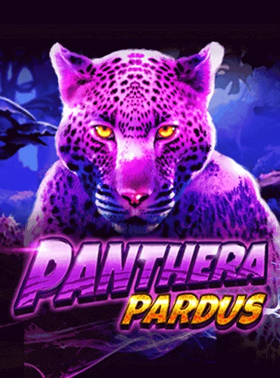 yx777 yx777